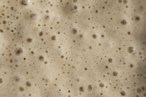 Pães tropicais com farinha de tapioca que não desandam na fermentação