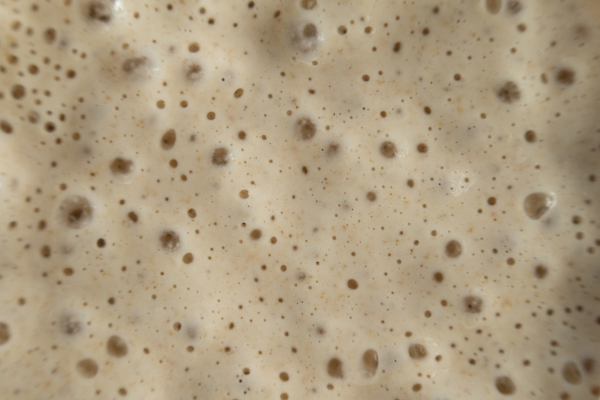 Pães tropicais com farinha de tapioca que não desandam na fermentação